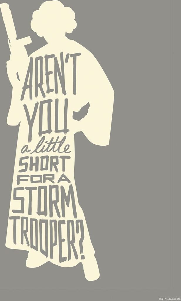 Disney Poster Leia quotes Grau - 612163 - 40 x 50 cm