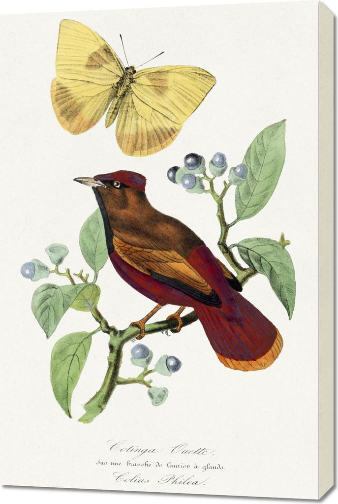 Bild 60x90cm Lerchen, Paul Gervais Vintage für das Wohnzimmer