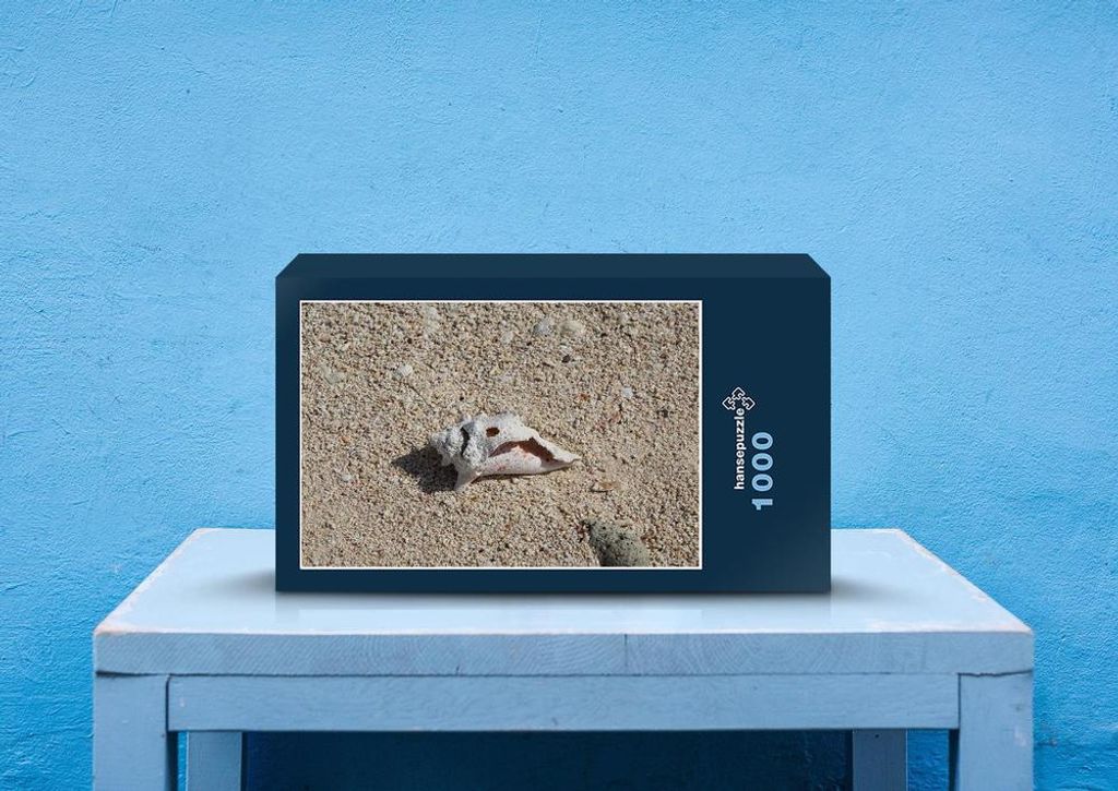 hansepuzzle 44773 - Strand Puzzle, 1000 Teile, Natur, 60,0 x 46,0cm mit hochwertiger Aufbewahrung, Kartonbox und wiederverschließbarem Beutel