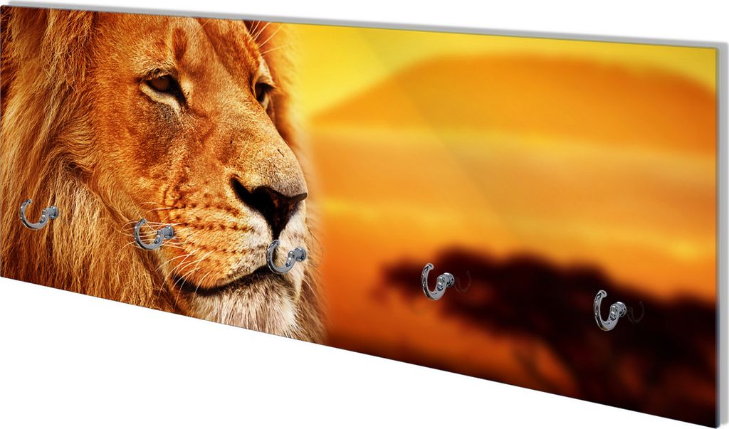 Wallario Flurgarderobe Wandgarderobe aus Glas, mit 5 Haken, Größe 80 x 30 cm, Motiv Prächtiger Löwe in der Savanne