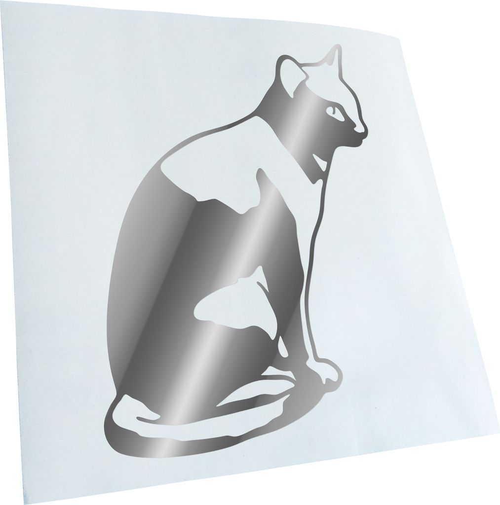 hauptsachebeklebt Kiwistar - Autoaufkleber - Katze sitzend Cat Heckscheibe - Aufkleber für Auto Kfz Fahrrad, LKW, Truck Mofa