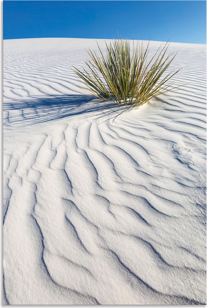 ARTland Wandbild Alu für Innen & Outdoor Dünen White Sands Größe: 80x120 cm