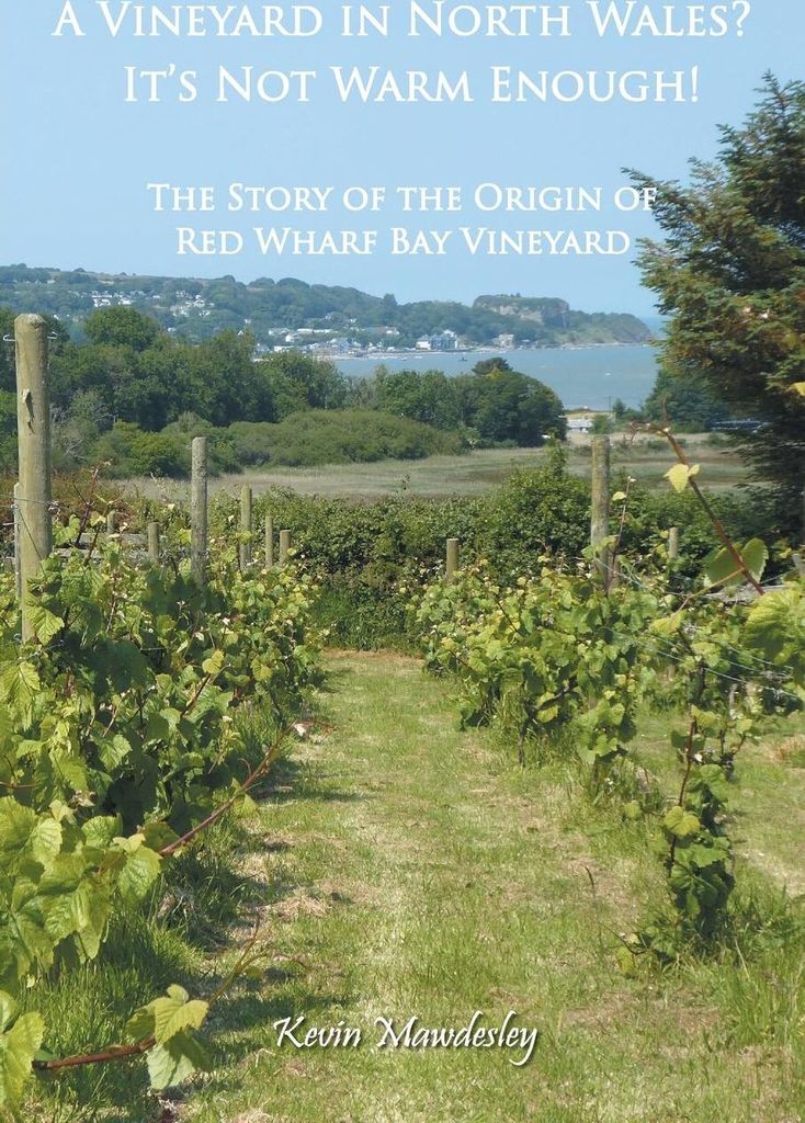 A Vineyard in North Wales? It's Not Warm Enough!
