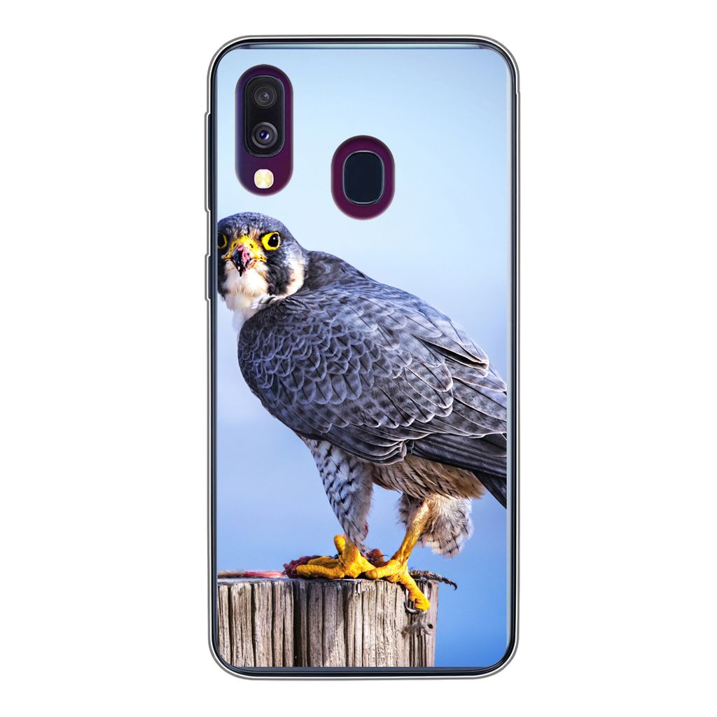 MuchoWow Handyhülle Schutzhülle Hülle für Samsung Galaxy A40 Nahaufnahme eines Raubvogels auf einer dicken Holzstange Silikon Softcase Handy ...