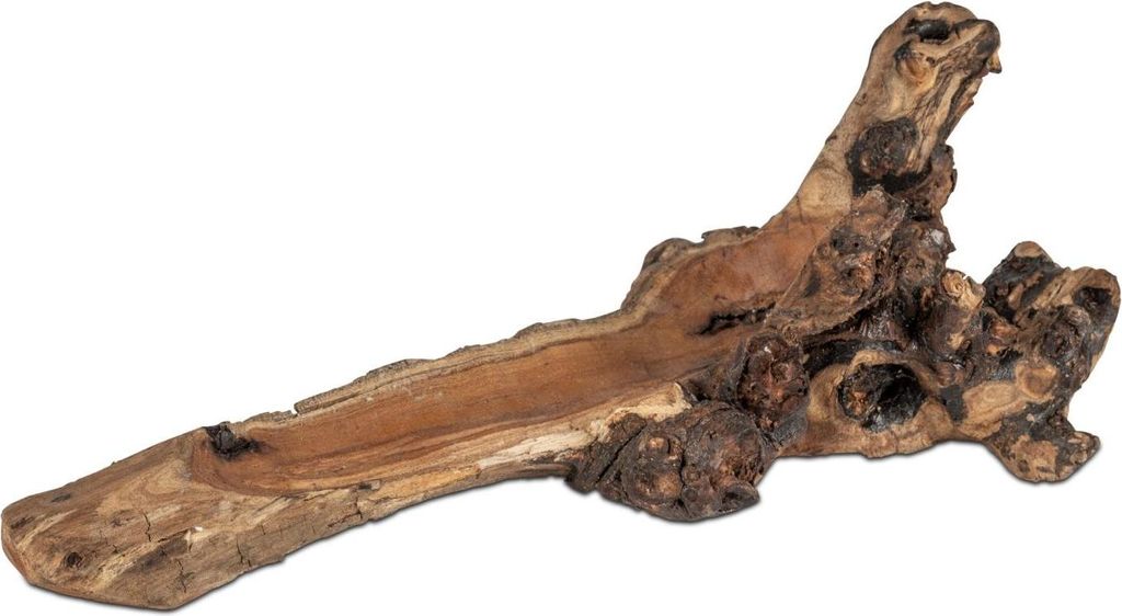 Dekoobjekt, Schale aus Wurzelholz L. 41cm naturbraun Formano