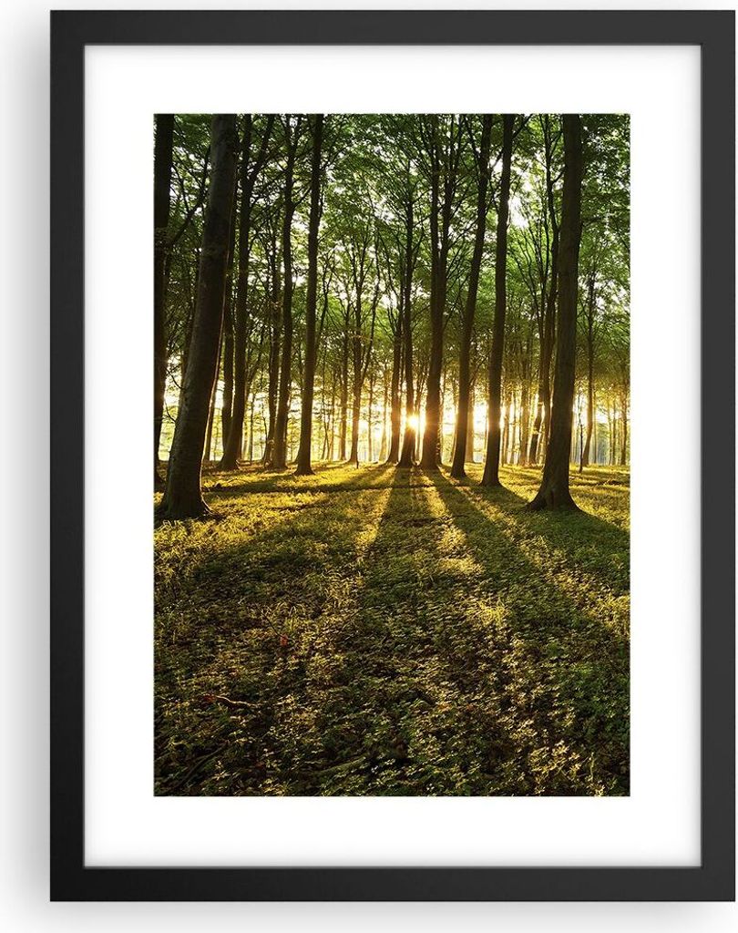 Gerahmtes Poster - Schwarzer Rahmen - Wald grün Produktbild 
