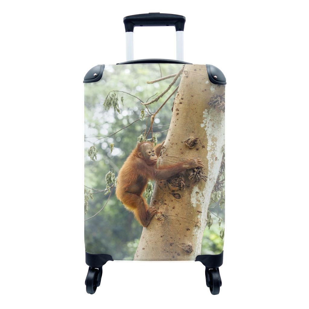 MuchoWow Koffer Handgepäck Trolley Rollkoffer Kleine Reisekoffer mit 4 Rollen - Orang-Utan-Baby klettert auf einen Baum in der Natur - Cabin Siz...