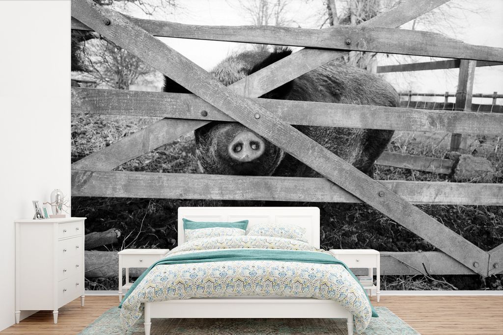 MuchoWow Fototapete für Wohnzimmer oder Schlafzimmer Wandtapete Vinyl Motivtapete Schwein hinter einem Zaun - schwarz und weiß - 600x400 cm - V...