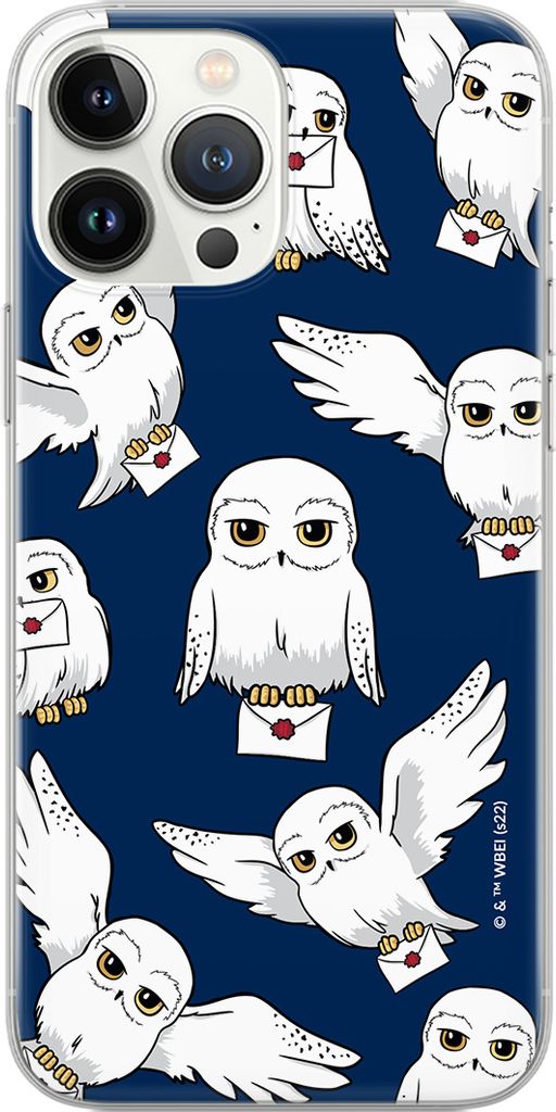 ERT GROUP Harry Potter Handyhülle für XIAOMI MI 10T LITE / REDMI NOTE 9 PRO 5G Muster Harry Potter 241 WPCHARRY75644