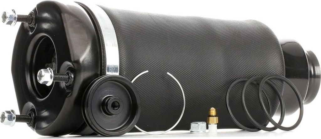 RIDEX 4119A0035 Luftfederung Luftfeder passend für MERCEDES-BENZ R-Klasse (W251, V251) Vorne