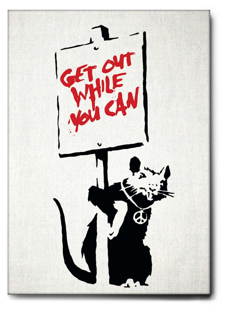 Giallobus - Maus, Geh raus solange du kannst - Banksy - 70L x 100W cm - Bild - Leinwand mit Standardrahmen