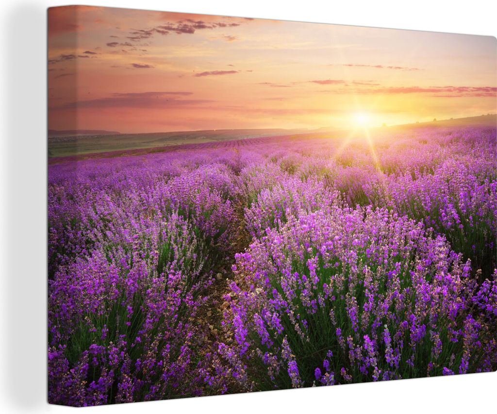 OneMillionCanvasses - Leinwandbilder - 140x90 cm, Lavendel - Sonne - Blumen, Wandbilder Kunstdruck Wanddekoration - Foto auf Leinwand - Gemälde ...