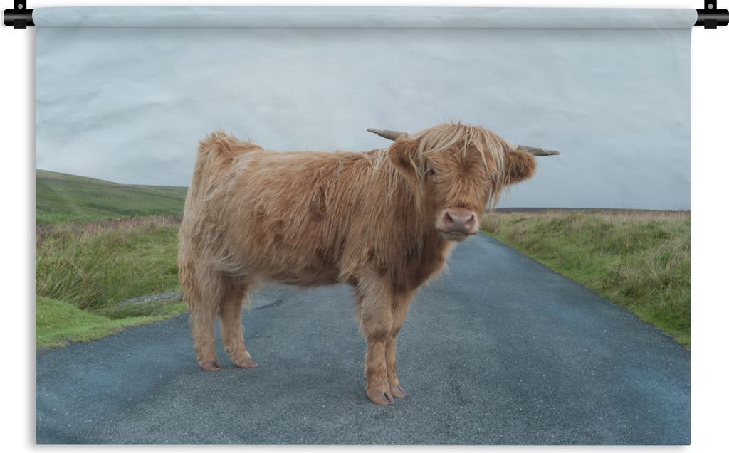 MuchoWow Wandteppich Wandbehang Scottish Highlander - Straße - Gras 150x100 cm Tapisserie Dekoration Wandtuch - Waschbar - Tapisserien - Wand-Decke