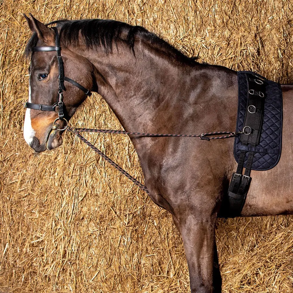 Redini V-line Harry's Horse con Ganci Argento per Lavoro Corda