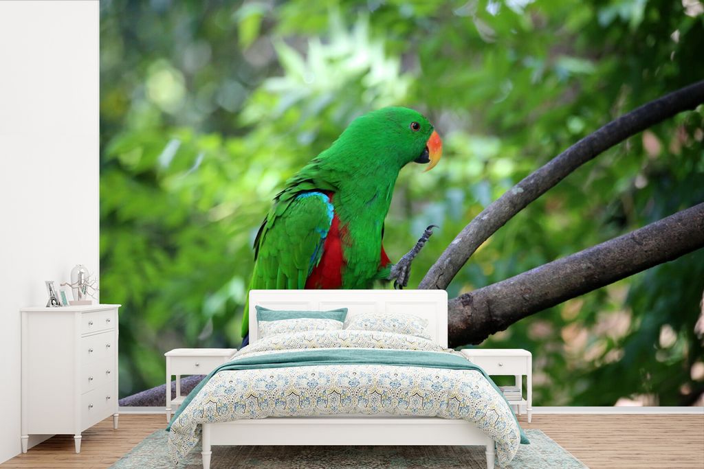 MuchoWow Fototapete für Wohnzimmer oder Schlafzimmer Wandtapete Vinyl Motivtapete Ein grüner Edelpapagei spaziert auf einem Ast - 450x300 cm - ...