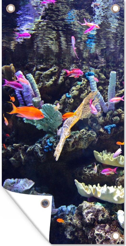 MuchoWow 80x160 cm Outdoor-Poster Gartendeko Sichtschutz Garten Poster für den Garten Buntes Aquarium
