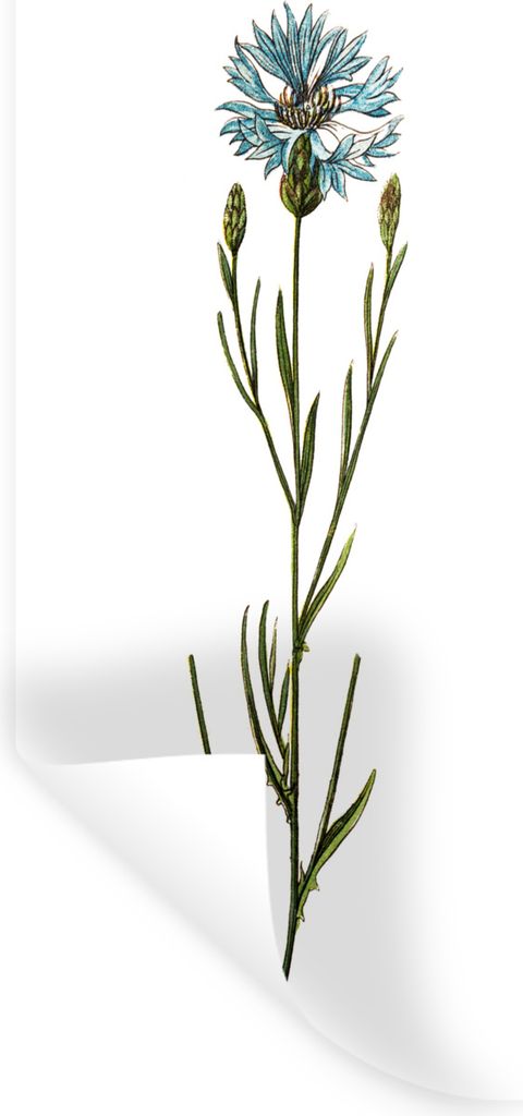 MuchoWow - Sticker - Dekorfolie