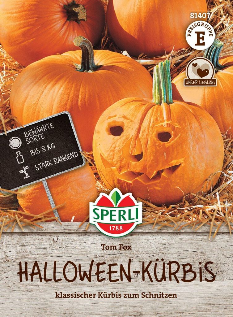 SPERLI Kürbissamen Tom Fox Cucurbita pepo 8 Pflanzen Produktbild 