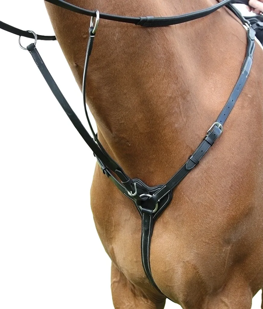 Harnais Salisbury ER553 en cuir noir poney - Résistance et Finition Pro