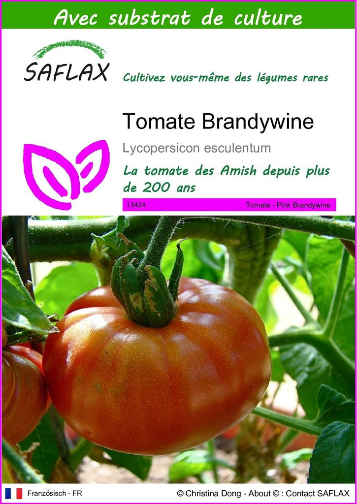 SAFLAX  - Tomate Brandywine - 10 graines - Avec substrat - Image du produit 