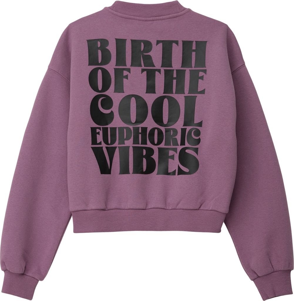 S. Oliver Sweatshirt LILAC/PINK L