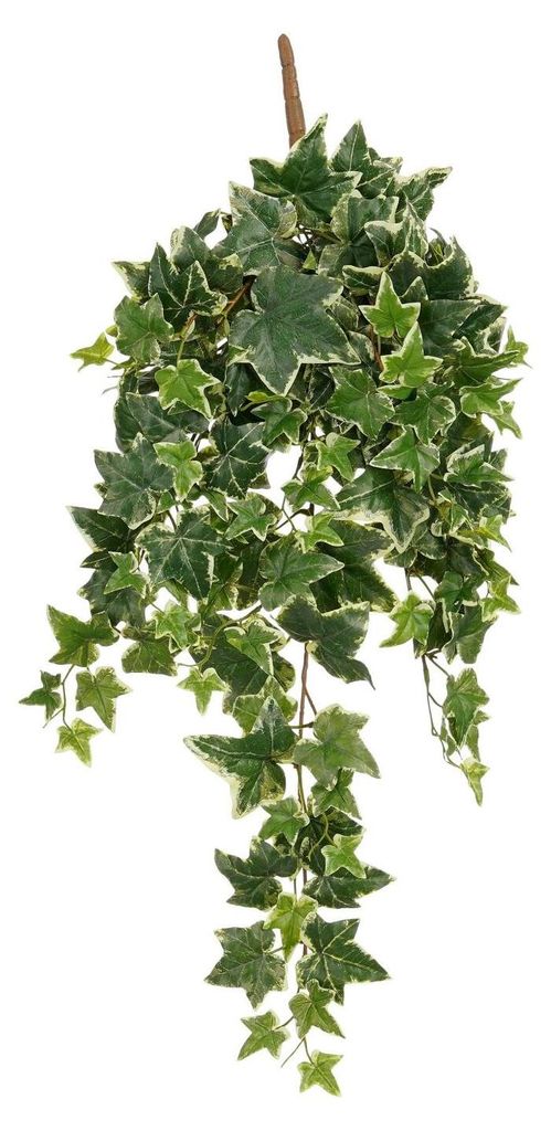 Hedera Efeu Kunstpflanze - grun - Hangepflanze - L25 x B25 x H80 cm