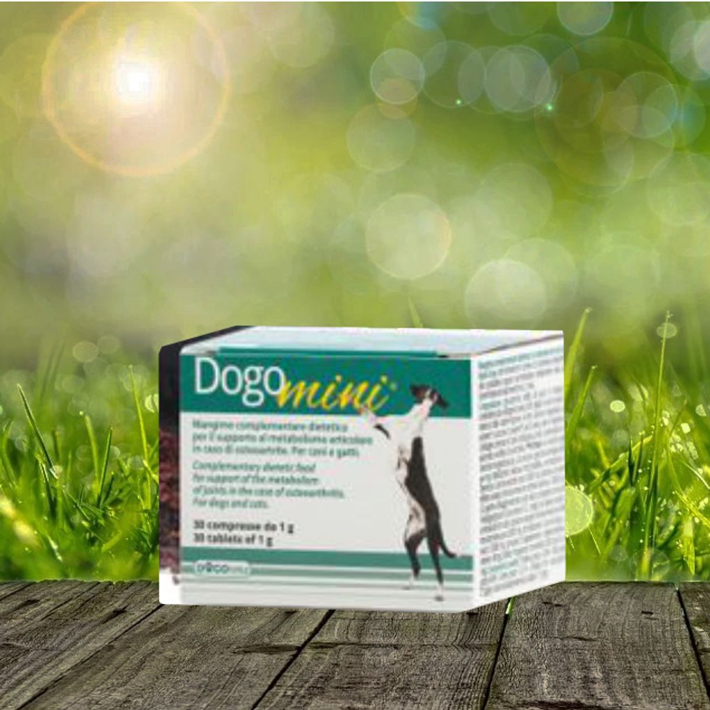 Dogoteka - DogoMini - 30 Stück   für Sehnen und Bänder - Produktbild 