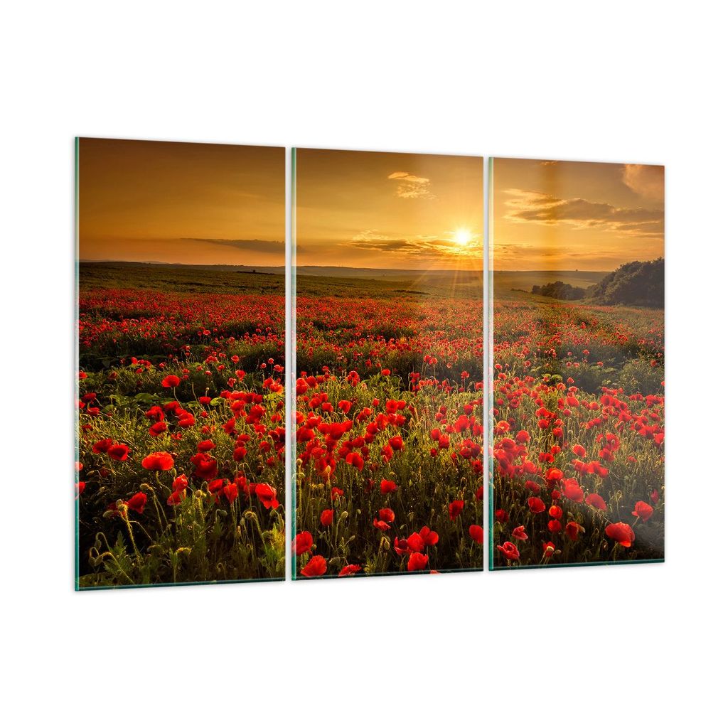 Bilder auf glas - Mohn Blume Wiese - 105x70cm - Glasbilder - Wandbilder - Kunstdruck - zum Aufhängen bereit - Wanddekoration aus Glas - Glas Bilde...