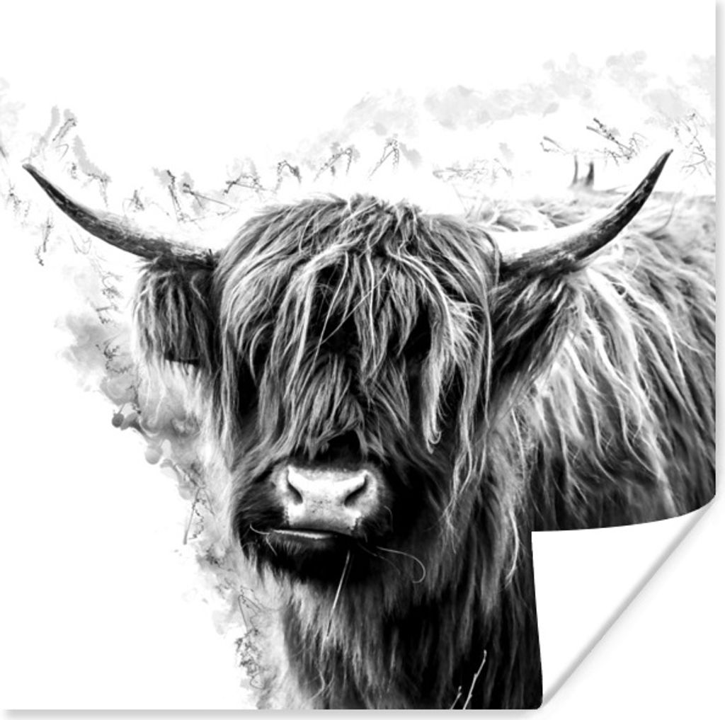 MuchoWow Poster Schottischer Highlander - Kuh - Weiß 50x50 cm - Wohnzimmerdekoration