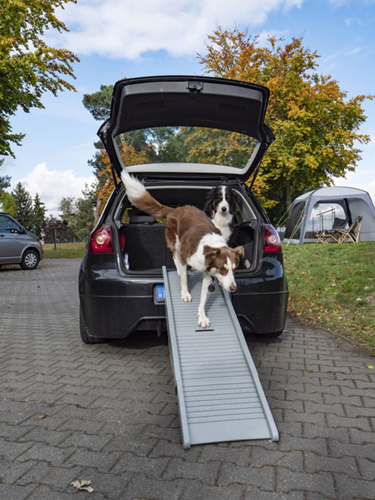 Hunderampe Emma belastbar bis 40kg Tiereinstiegshilfe für Produktbild 4