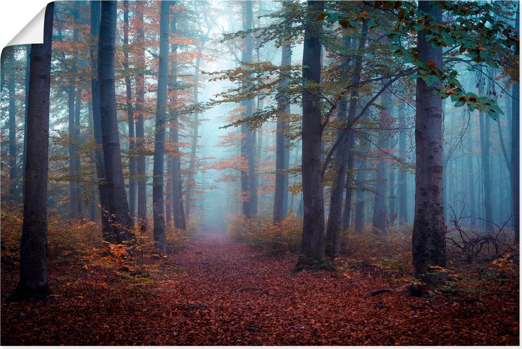 ARTland Poster Wald im Nebel Größe: 120x80 cm