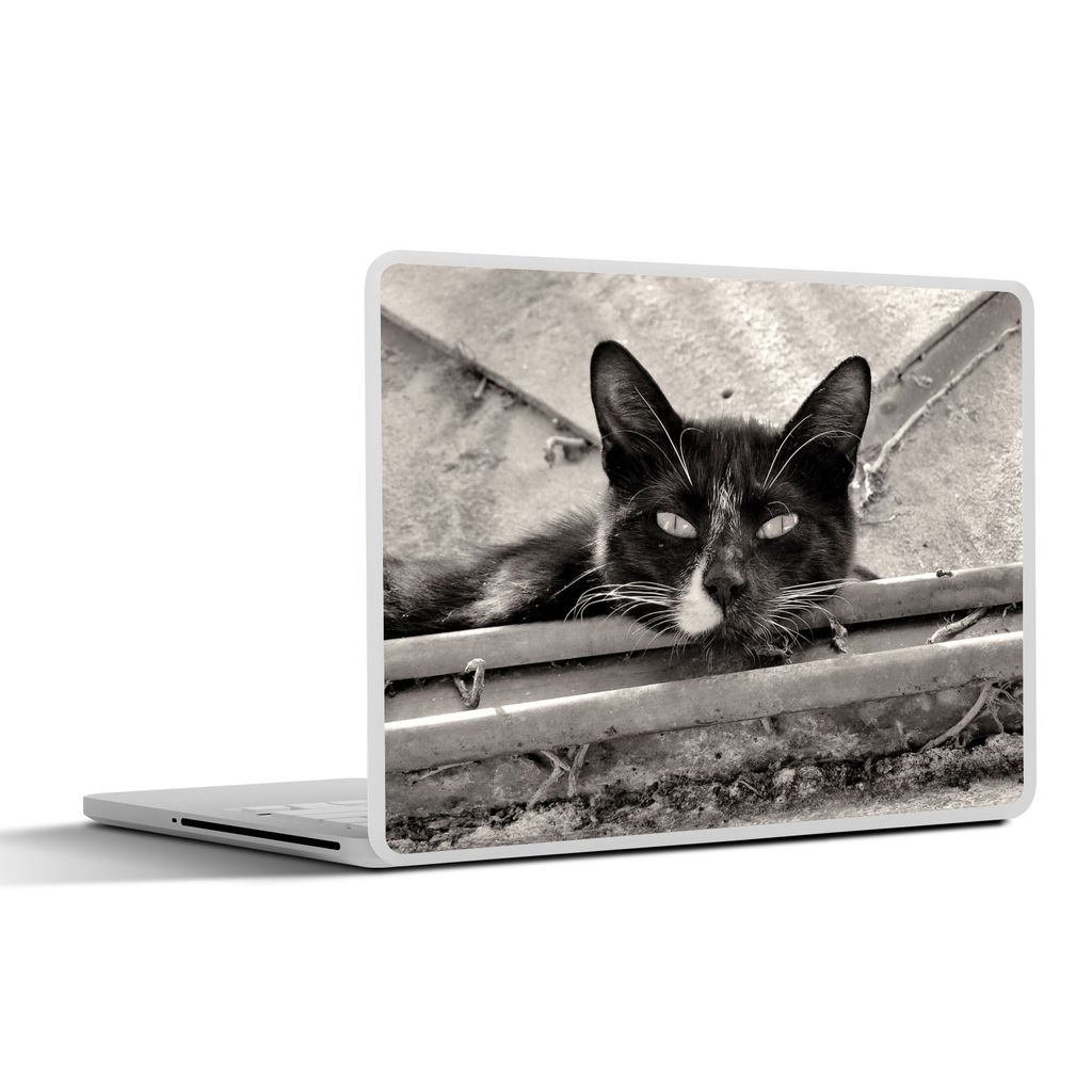 MuchoWow Laptop Aufkleber Sticker Cover Nahaufnahme einer Katze 31x22.5 cm - Laptop-Deko