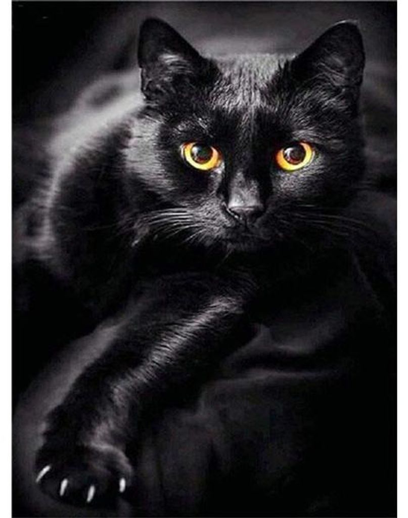 Diamond Painting Schwarze Katze 30x40 cm