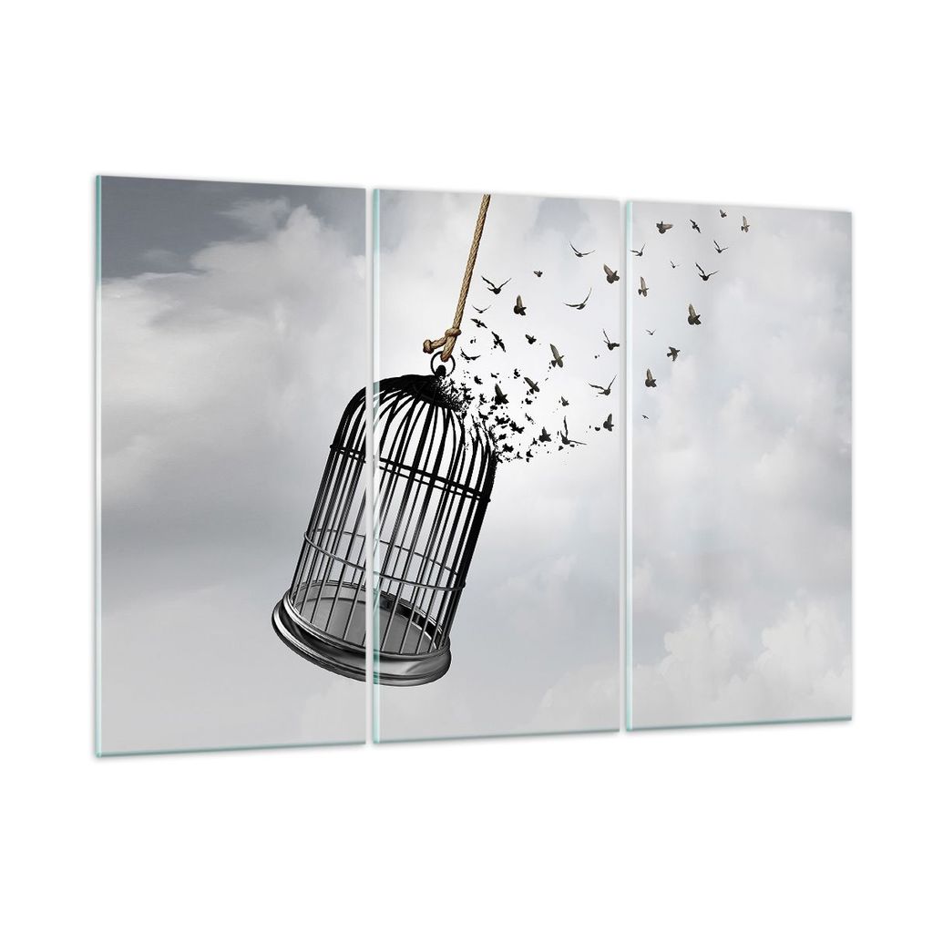 Bilder auf glas - 3 Teile - Freiheit Käfig Vögel - 165x110cm - Glasbilder - Wandbilder - Bilder - zum Aufhängen bereit - Wanddekoration aus Glas...