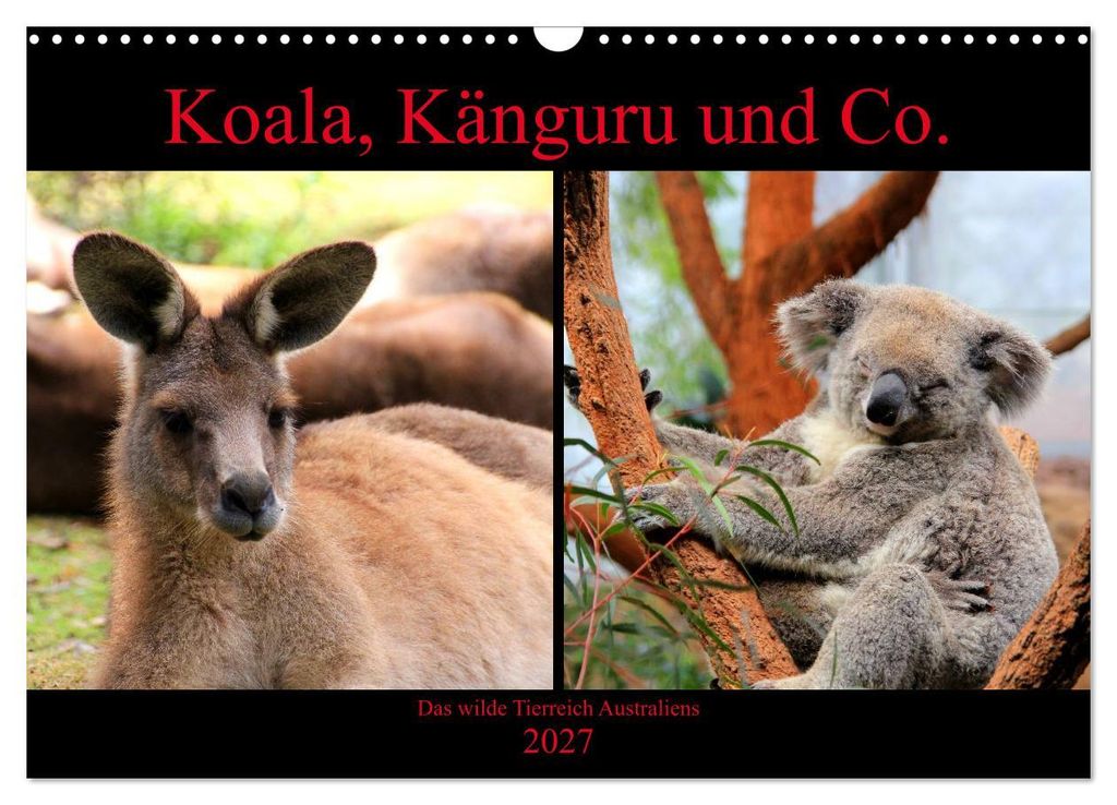 Koala, Känguru und Co. – Das wilde Tierreich Australiens (Wandkalender 2027 DIN A3 quer), CALVENDO Monatskalender