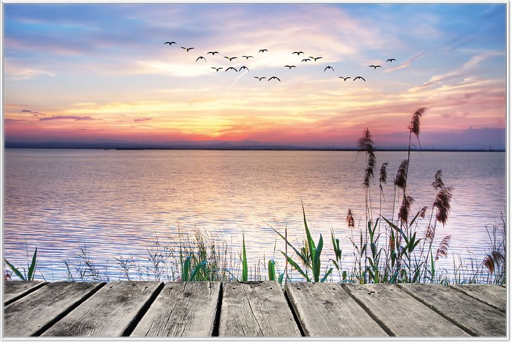 Wallario Wandbild Seepanorama mit Schilf und fliegenden Vögeln, Größe: 61 x 91,50 cm, Poster mit weißem Aluminiumrahmen