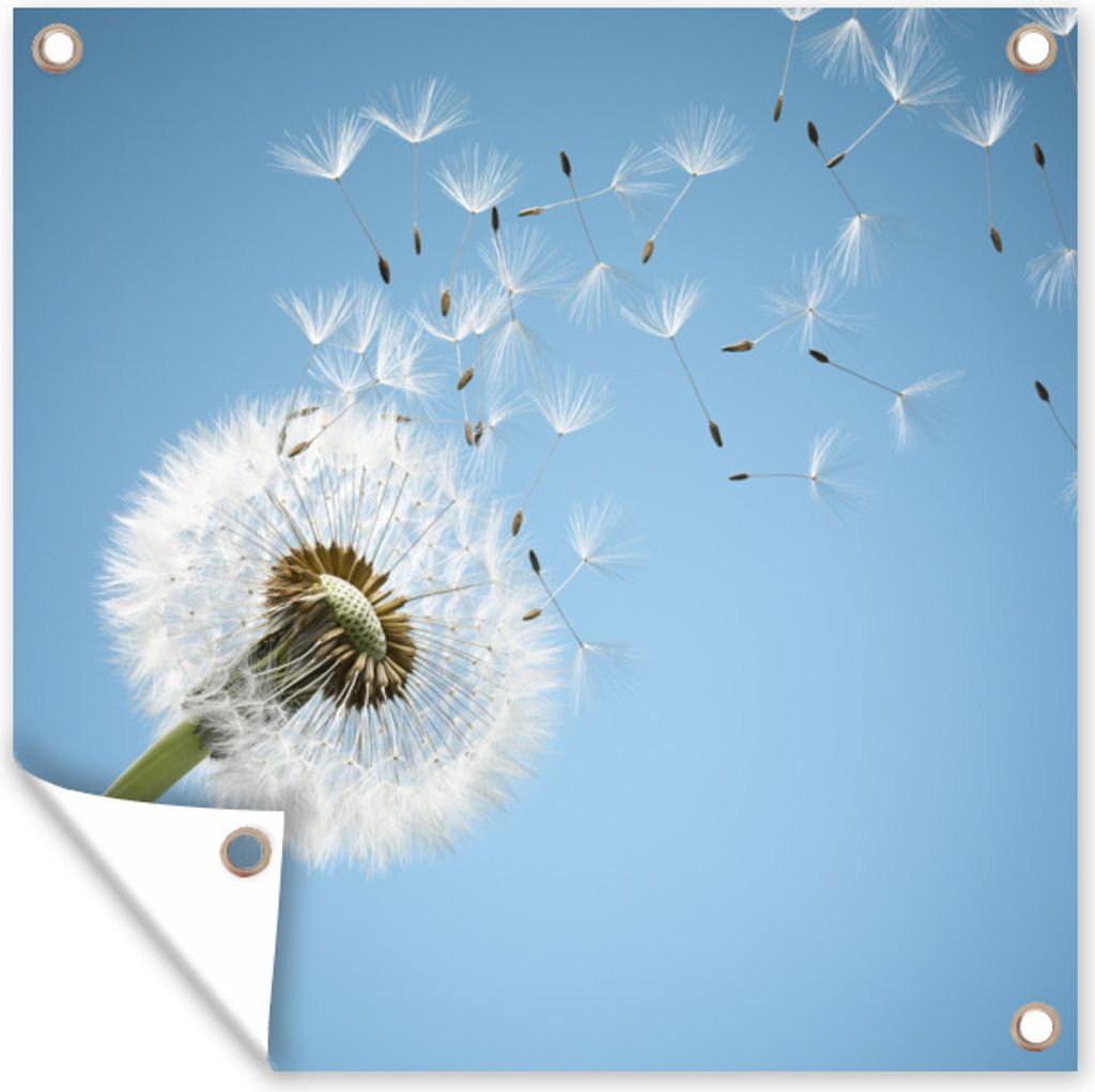 MuchoWow 100x100 cm Outdoor-Poster Gartendeko Sichtschutz Garten Poster für den Garten Löwenzahn - Saatgut - Luft