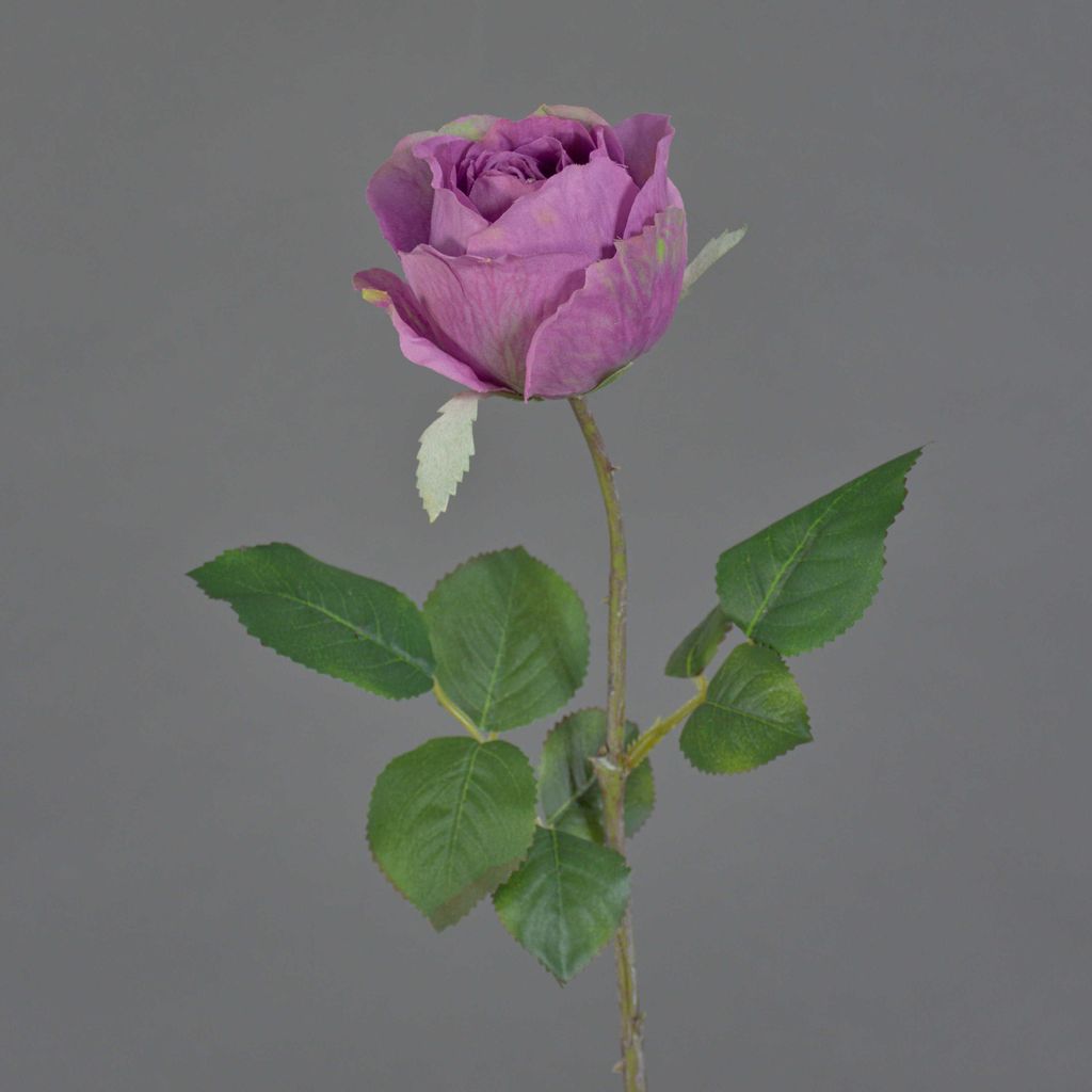 artplants.de Kunst Blume Rose POPI, violett-grün, 55cm, Ø7cm - Künstliche Rose