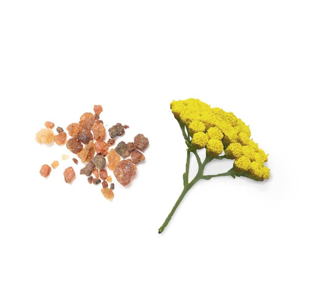 Mélange d'huiles essentielles dōTERRA Balance™ Grounding, 5 Image du produit 