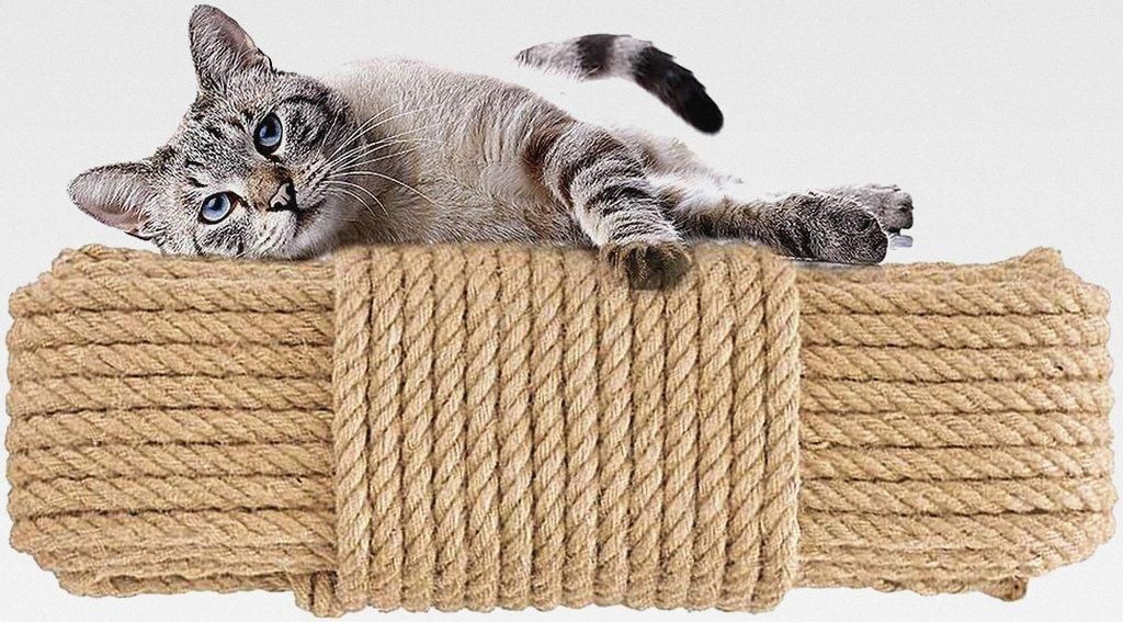 Natur Sisal Seil 6mm/8mm/10mm, 10M-100M - Hanfseil für Kratzbaum, Dekoration, Geschenk Verpackung (6mm x 100M)