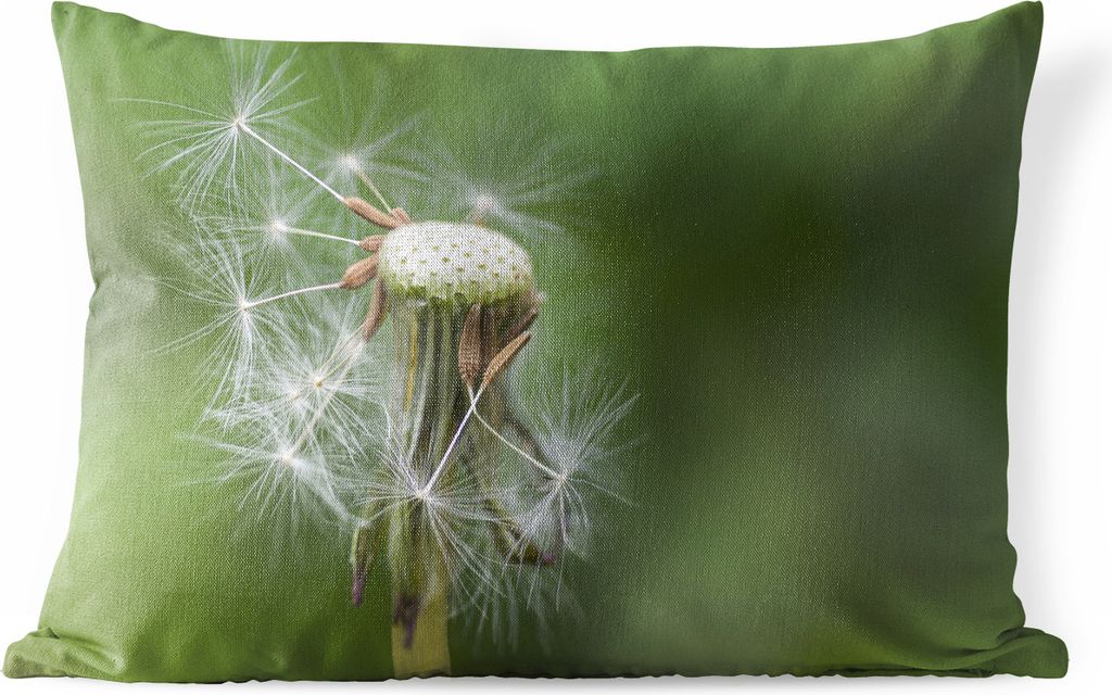 MuchoWow Outdoor Kissen - Löwenzahn verliert seine Samen - 60x40 cm - Wetterfest - Lounge Kissen - Zierkissen - Kissen für Innenräume