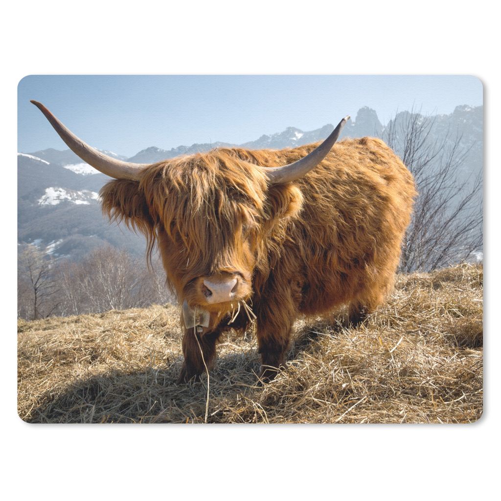 MuchoWow Mauspad Mousepad Schottischer Highlander - Berg - Schnee 40x30 cm - Mousepads - Maus Mat - Pad - Mausunterlage - Anti Rutsch