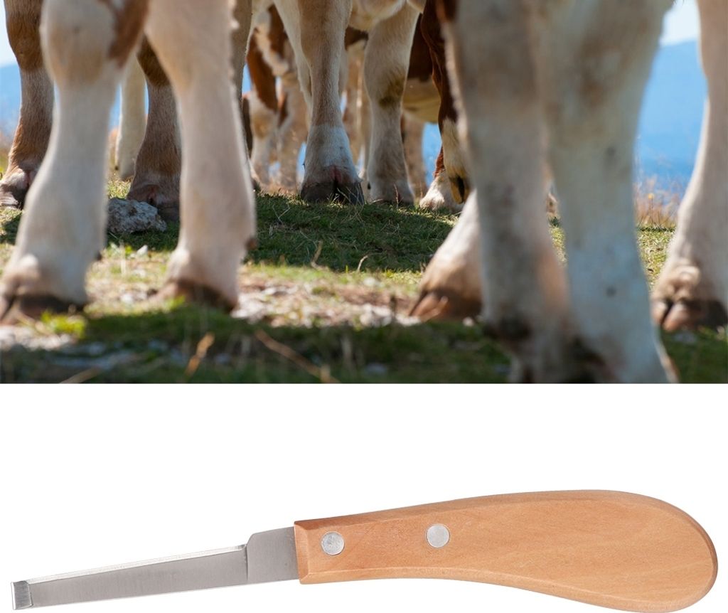 Hufmesser-Trimmwerkzeug aus Kohlenstoffstahl mit gerader Klinge für Rinder und Pferde (linke Hand)