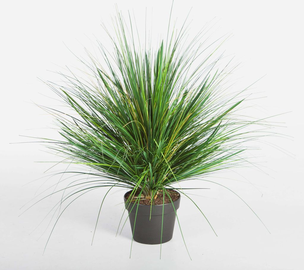 artplants.de Künstliches Dünengras im Topf, grün, 50cm - Kunstgras - Dekogras