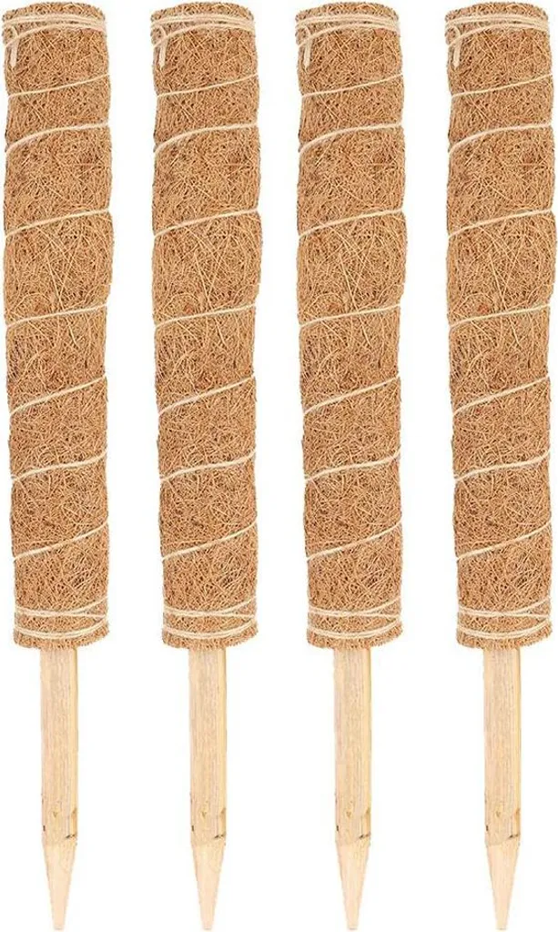 Tuteur coco naturel 450mm avec extension modulable pour Monstera - 4Pcs - 2