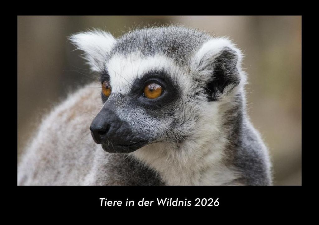 Tiere in der Wildnis 2026 Fotokalender - Querformat DIN A3, Monatskalender mit Bild-Motiven von Haustieren, Bauernhof, wilden Tieren und Raubtieren