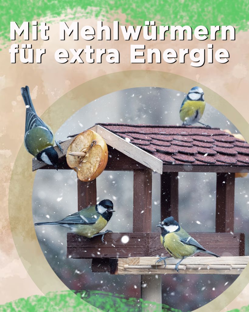 Futterbauer Streufutter schalenlos mit Mehlwürmern 25 kg, Produktbild 2