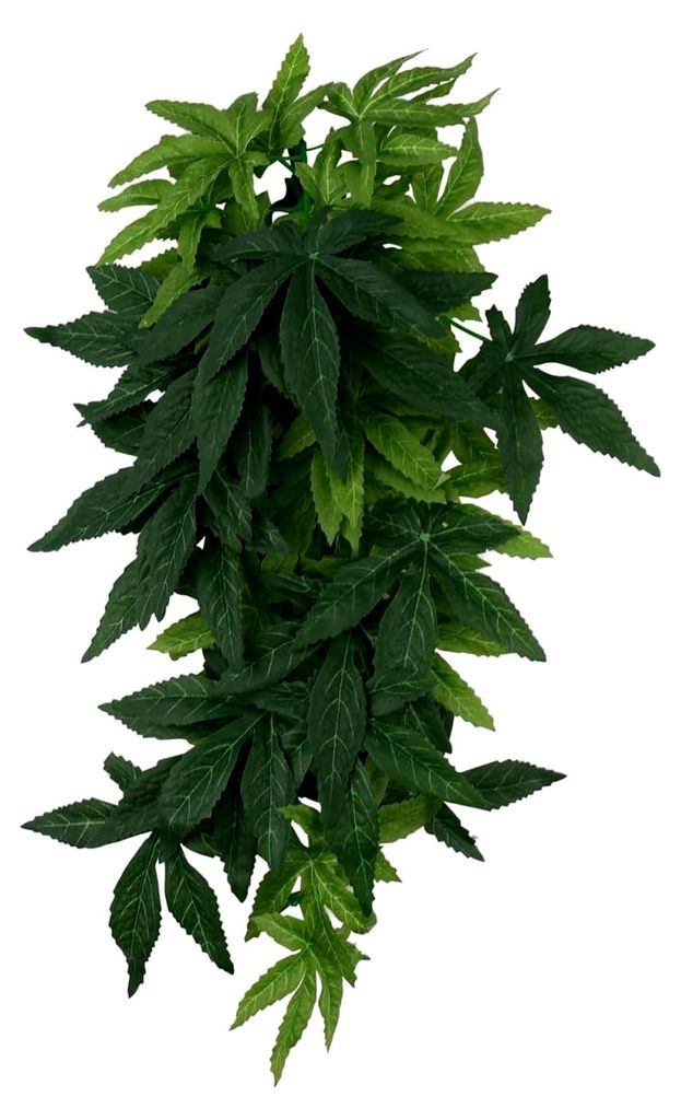 Künstliche Wasserpflanzen: 40 cm Dekoration mit Aquarium Pflanzen - Hängende Wasserpflanze für Zuhause und Büro