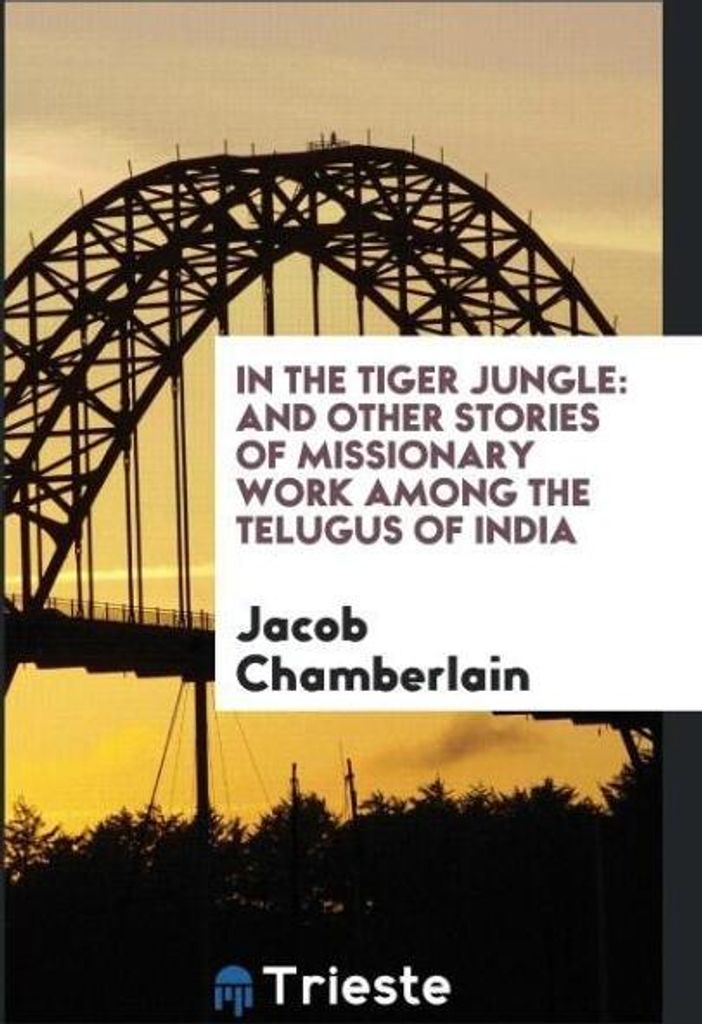 In the tiger jungle