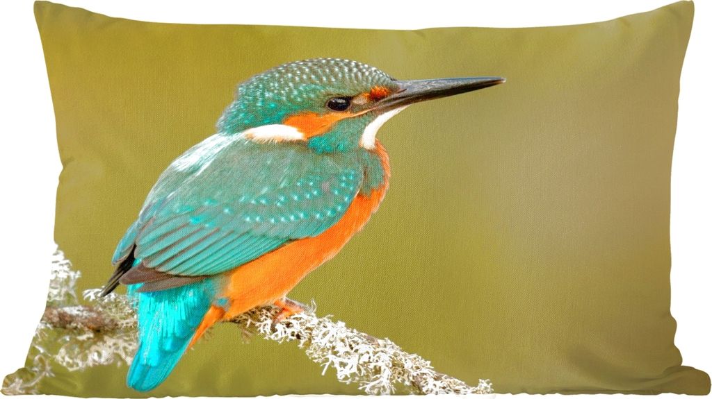 MuchoWow Zierkissen Sofakissen Wohnzimmer Dekokissen 60x40 cm Eisvogel - Tiere - Vogel - Kopfkissen - Polster mit Foto